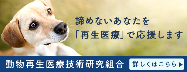 動物再生医療技術研究組合