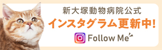 公式インスタグラム